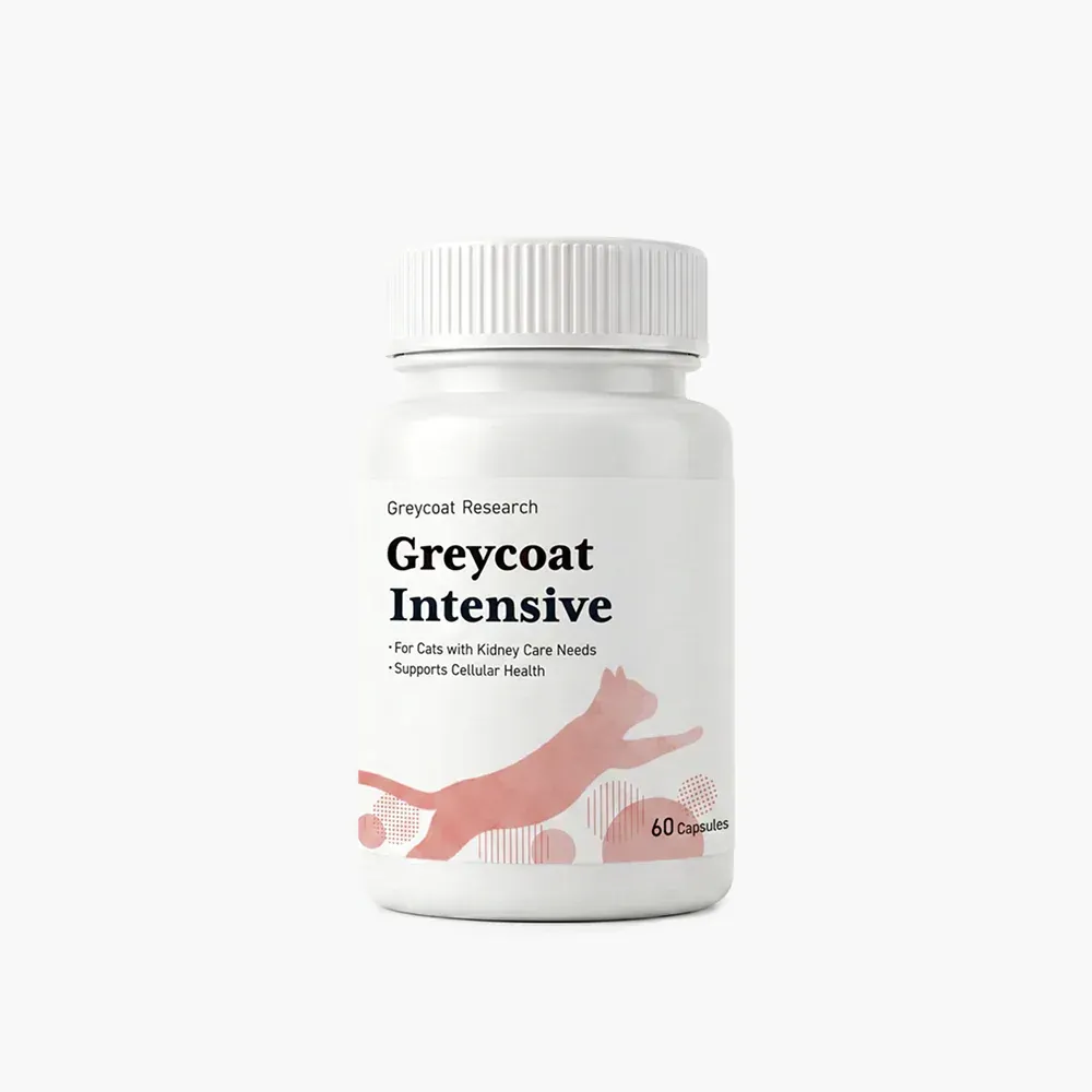 Greycoat Intensive